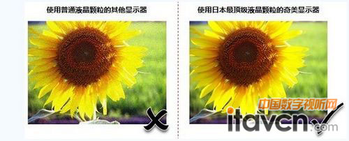 ɫʡ|(zh)