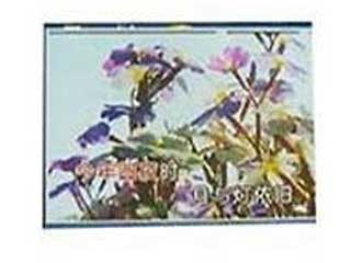 W҃(ni)ȫ P8 15560c(din)